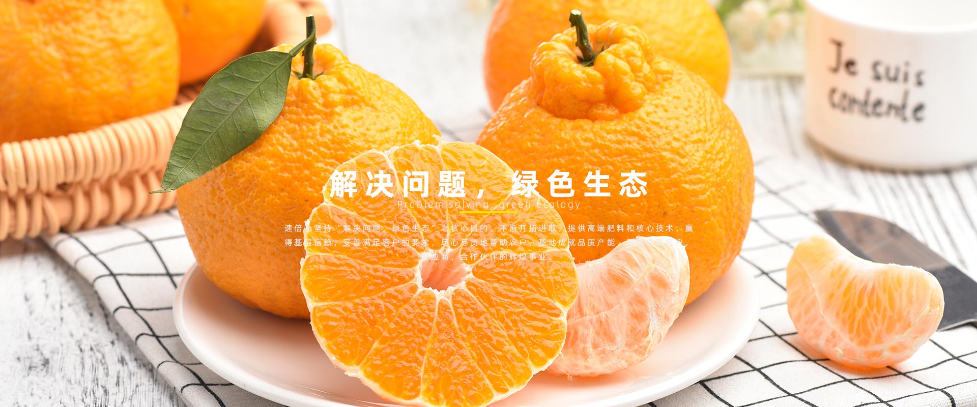 速倍士